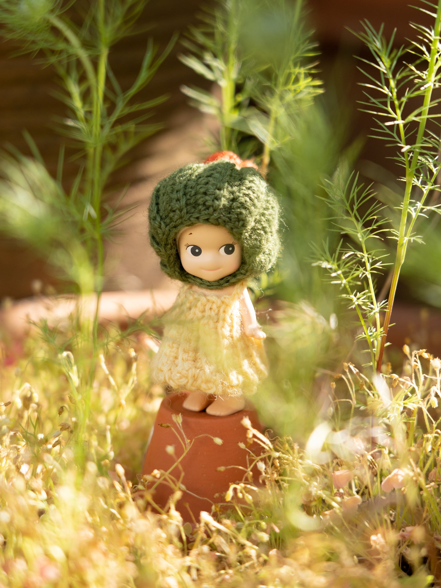 Cactus Hat