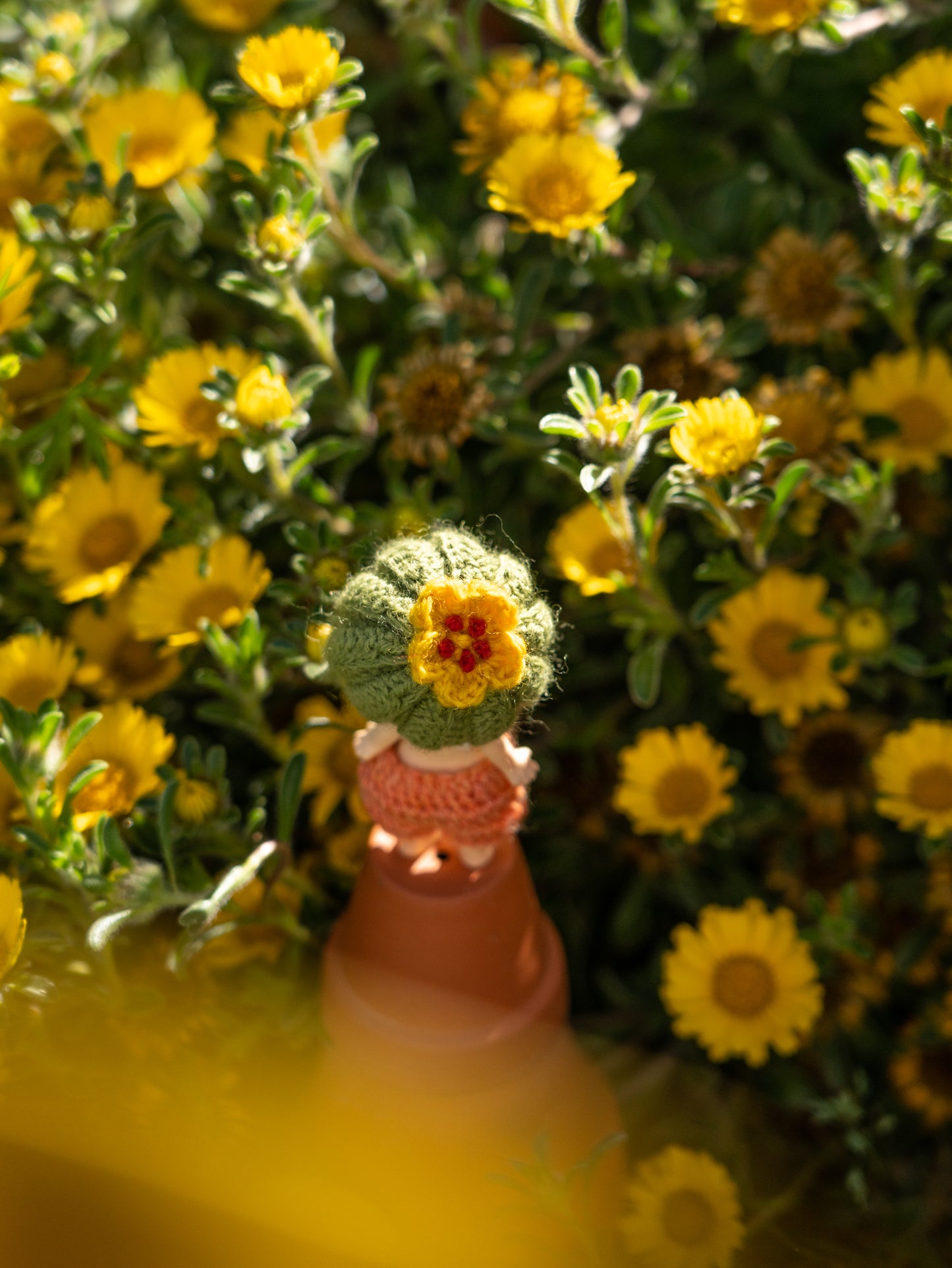 Cactus Hat