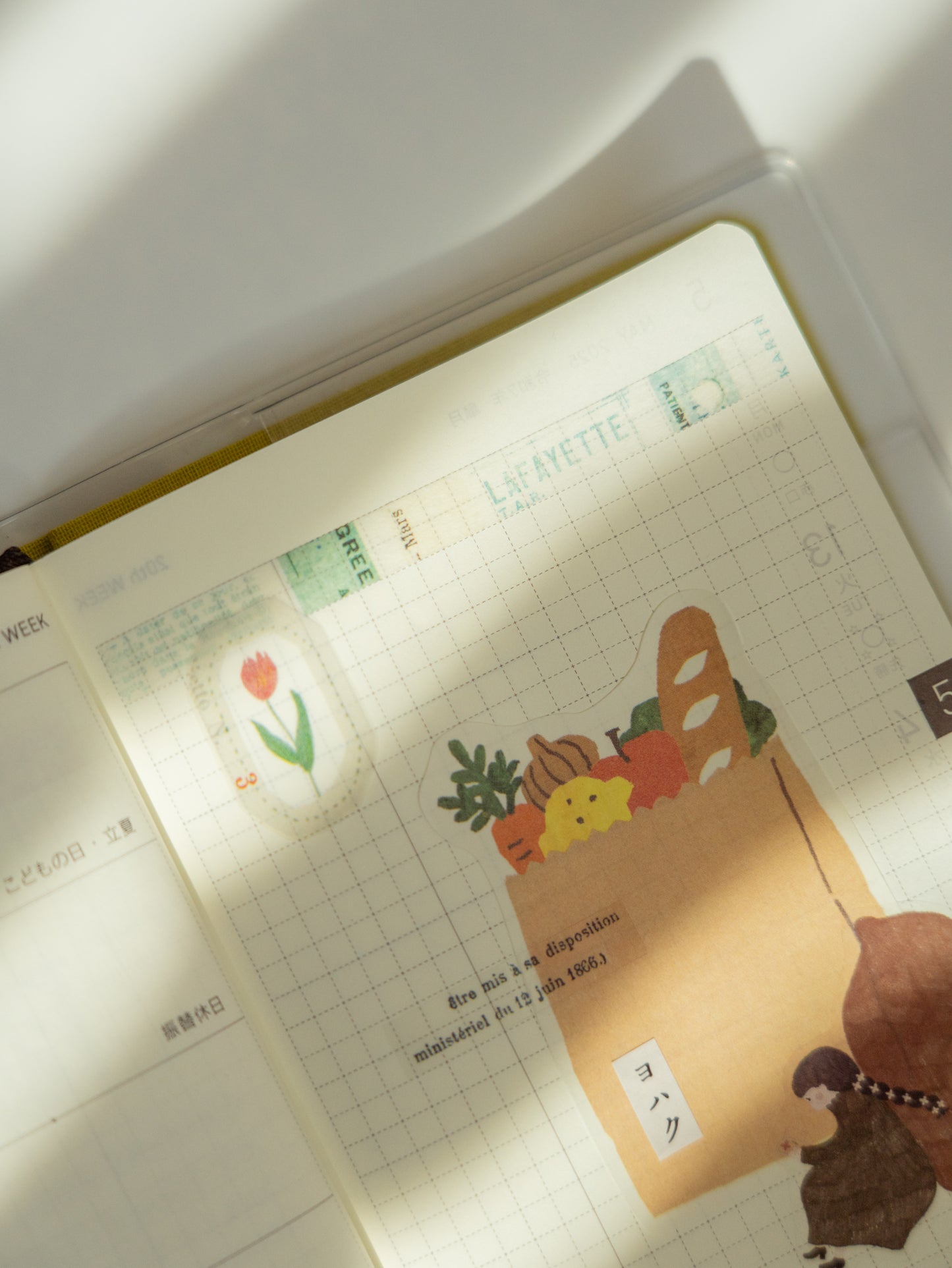 Yohaku Slim Washi Tape: Birch Forest | Shirakabanomori